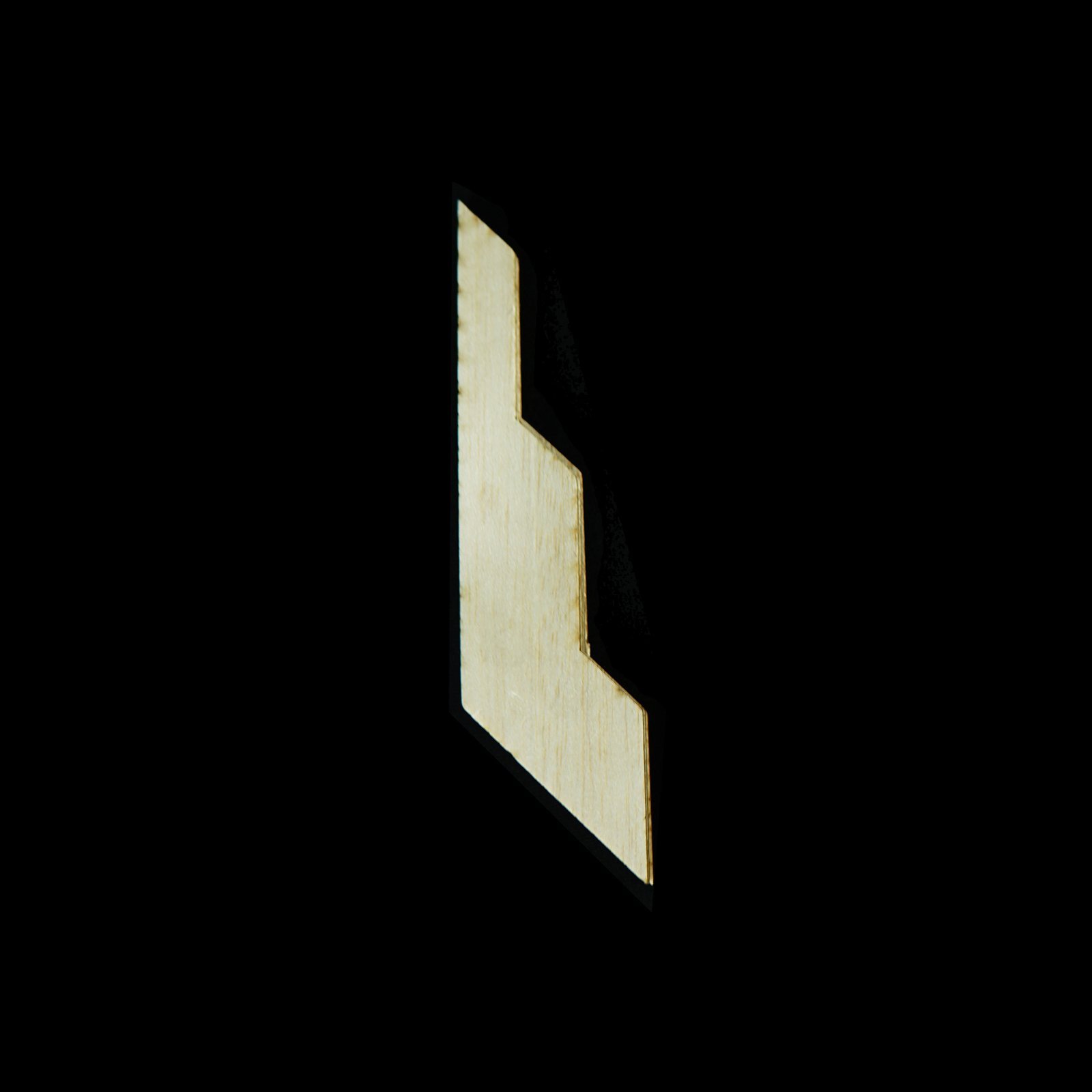 Fin 5